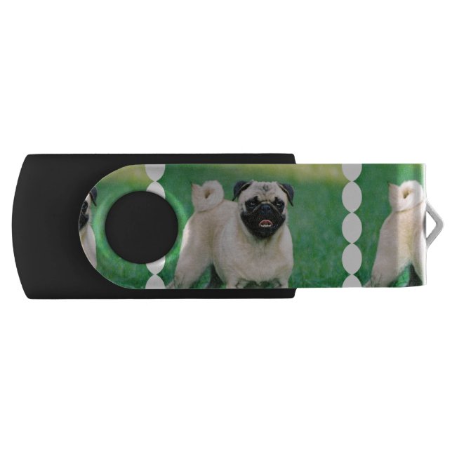 Poised Pug USB Flash Drive (Front)