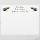 Poison Dart Frog (Front)