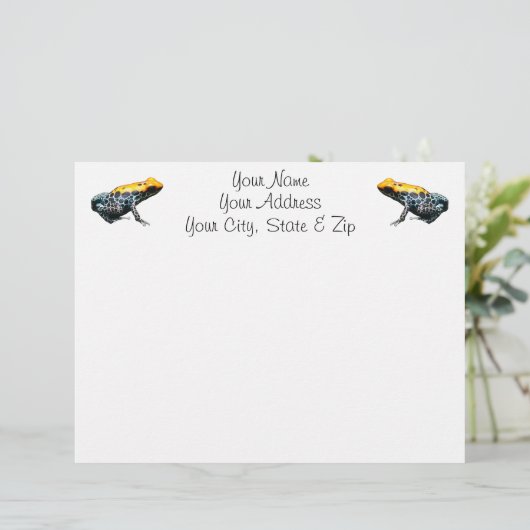 Poison Dart Frog (Standing Front)