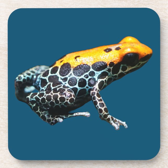 Poison Dart Frog Beverage Coaster (Front)