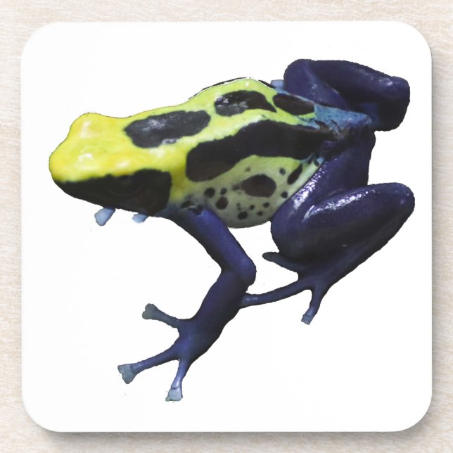 Poison Dart Frog Beverage Coaster (Front)