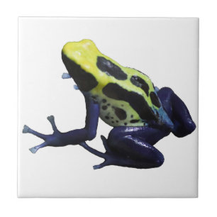 Poison Dart Frog Ceramic Tile