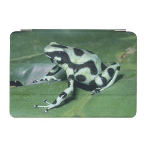 Poison Dart Frog Dendrobates auratus Cahuita iPad Mini Cover