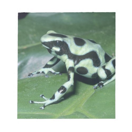 Poison Dart Frog Dendrobates auratus Cahuita Notepad