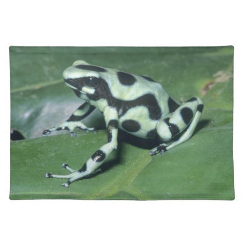 Poison Dart Frog Dendrobates auratus Cahuita Placemat