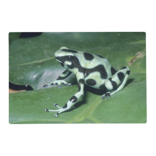 Poison Dart Frog Dendrobates auratus Cahuita Placemat