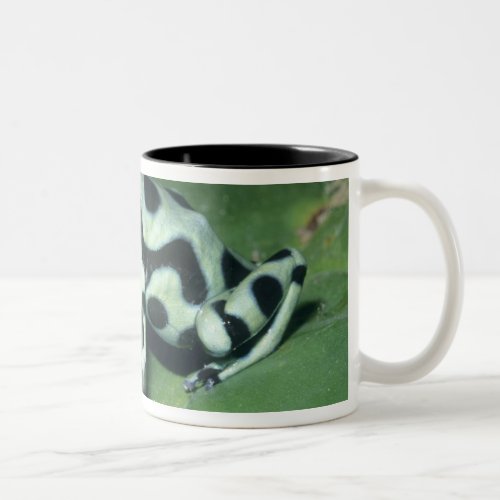 Poison Dart Frog Dendrobates auratus Cahuita Two_Tone Coffee Mug