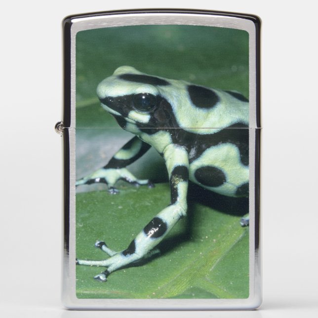 Poison Dart Frog, (Dendrobates auratus) Cahuita Zippo Lighter (Front)