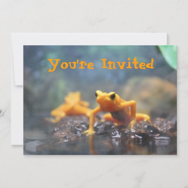 Poison Dart Frog Invitation (Front)