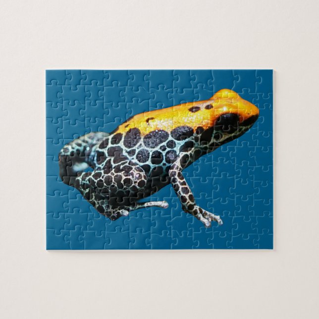 Poison Dart Frog Jigsaw Puzzle (Horizontal)