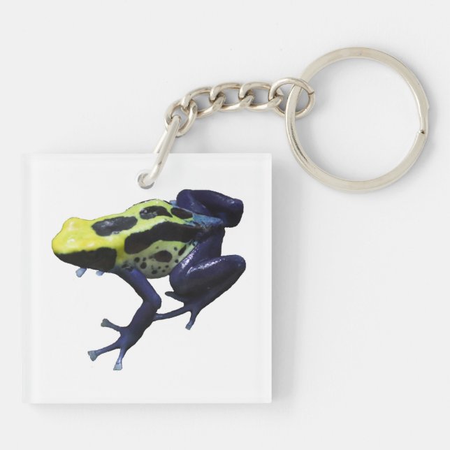 Poison Dart Frog Keychain (Back)