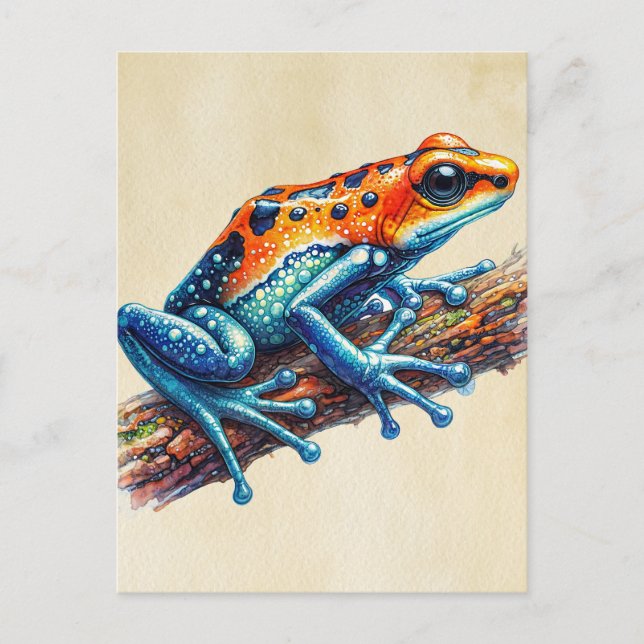Poison Dart Frog Orange Blue Postcard (Front)