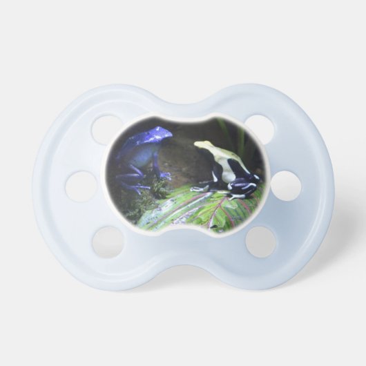 Poison Dart Frog Pacifier (Front)