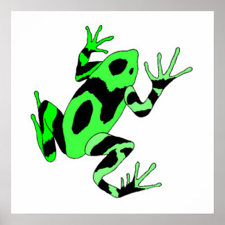 Poison Dart Frog Posters, Poison Dart Frog Prints, Art Prints, Poster ...