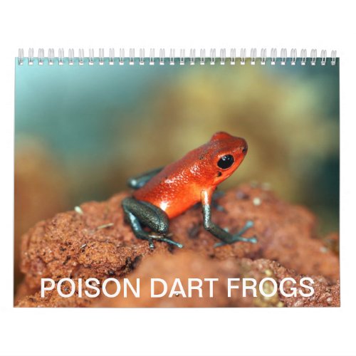 Poison dart frogs calendar