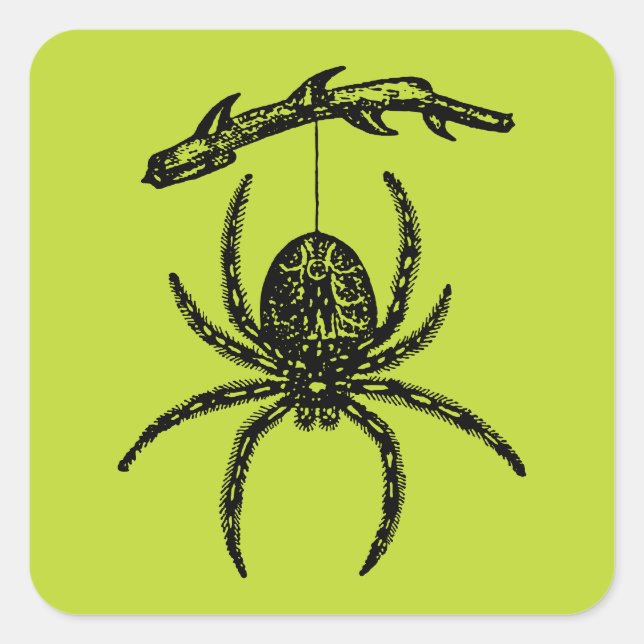Poison Green Spider Square Sticker (Front)