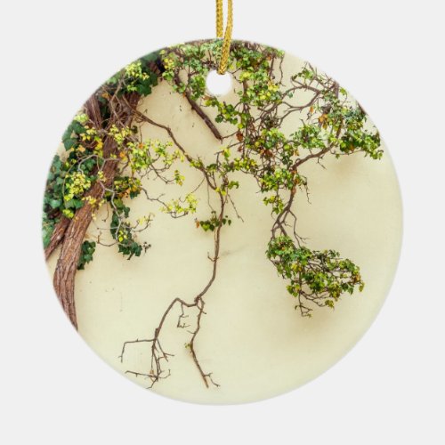 Poison Ivy On A Yellow Wall Ceramic Ornament