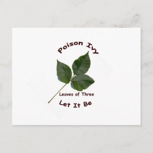 Poison Ivy Postcard