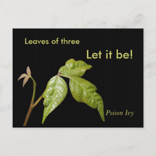 Poison Ivy postcard