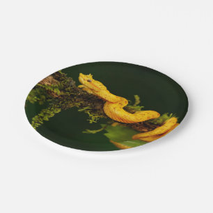 Poison Viper Snake from Costa Rica Paper Plates
