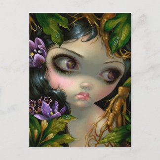 "Poisonous Beauties XIV: Mandrake Root" Postcard
