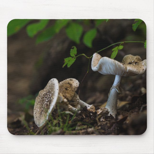 Poisonous Beauty Mouse Pad (Front)