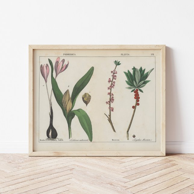 Poisonous Plants | Charlotte Mary Yonge Poster (Creator Uploaded)