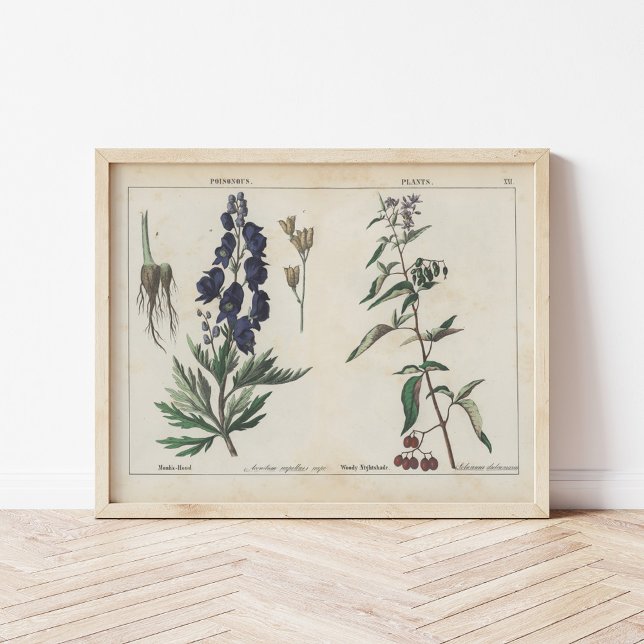 Poisonous Plants | Charlotte Mary Yonge Poster (Creator Uploaded)