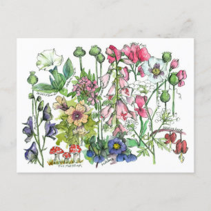Poisonous Plants Herbs Watercolor Flower Drawing Postcard