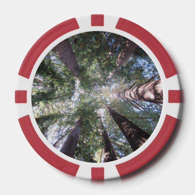 Poker Chip Redwood Trees Up View Design (Front)