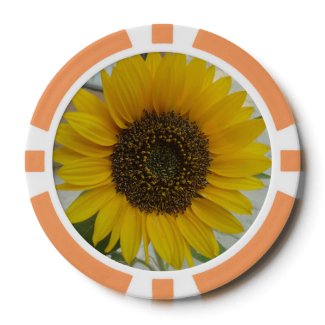 Poker Chip Sunflower