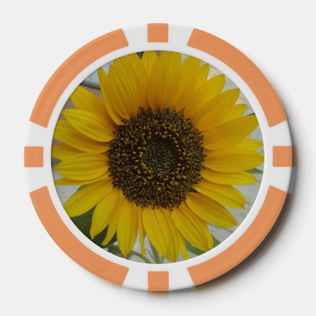 Poker Chip Sunflower (Front)