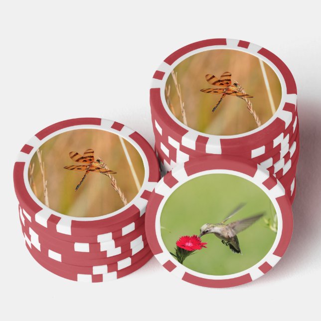 Poker chips with dragonfly and hummingbird picture (Stack)