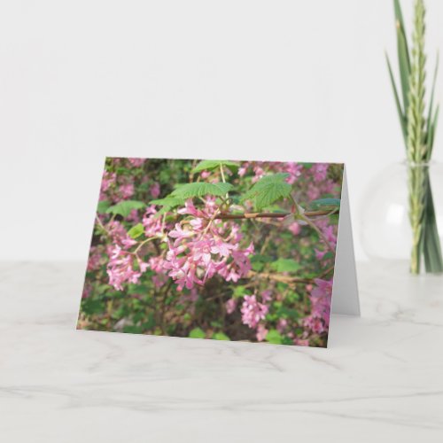 Pokeys Pink in the Park Card