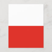 Poland flag (Back)