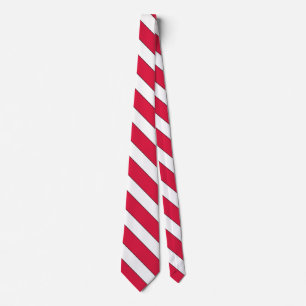Poland Flag Elegant Patriotic Neck Tie
