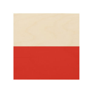 Poland flag wood wall art
