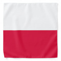 Poland National Flag Team Support