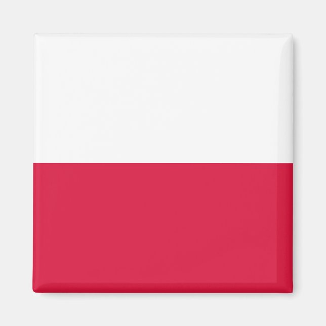 Poland (Polish) Flag Magnet (Front)