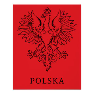 Poland's White Eagle Contemporary State Emblem  Poster