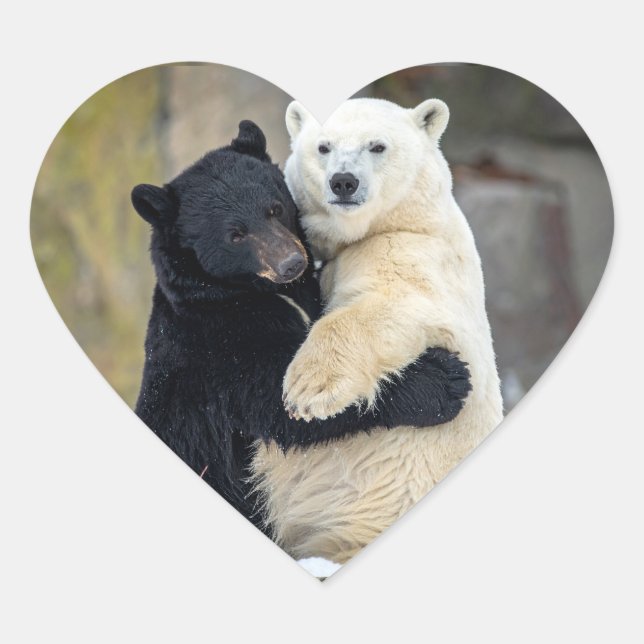 Polar and black bear hugging heart sticker (Front)