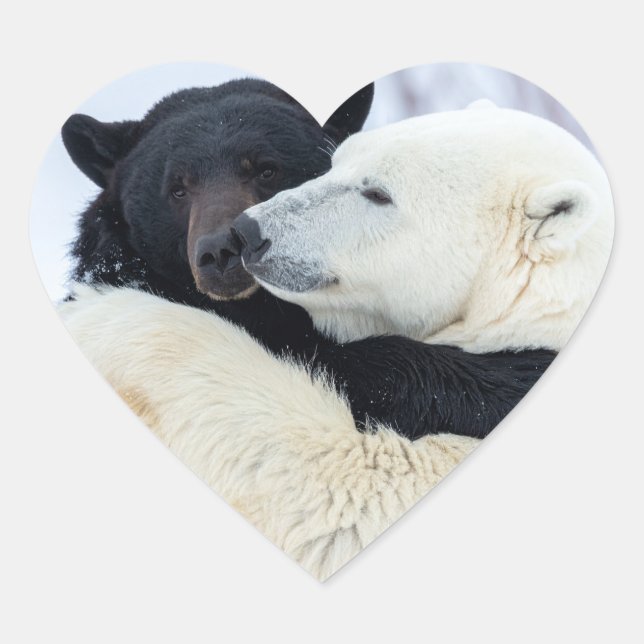 Polar and black bear hugging heart sticker (Front)