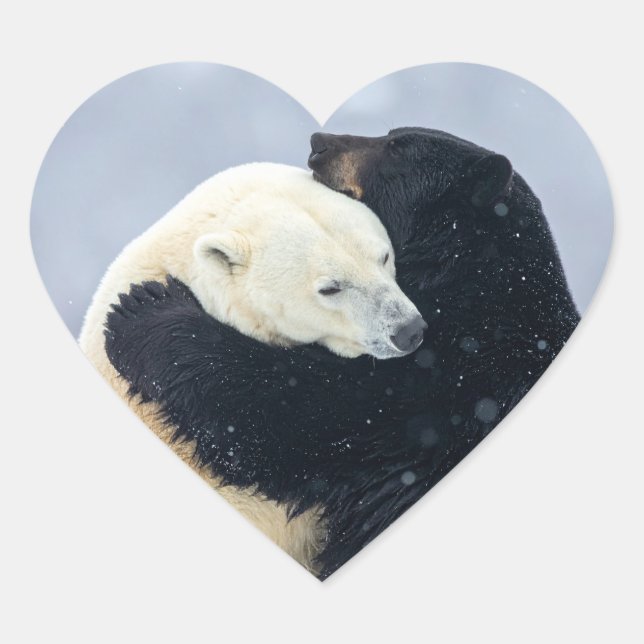 Polar and black bear hugging heart sticker (Front)
