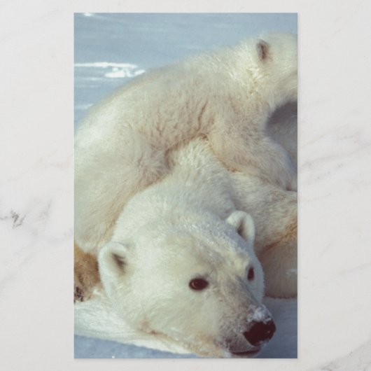 Polar Bear (Front)