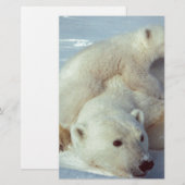 Polar Bear (Front/Back)