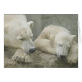 Polar Bear (Front Horizontal)