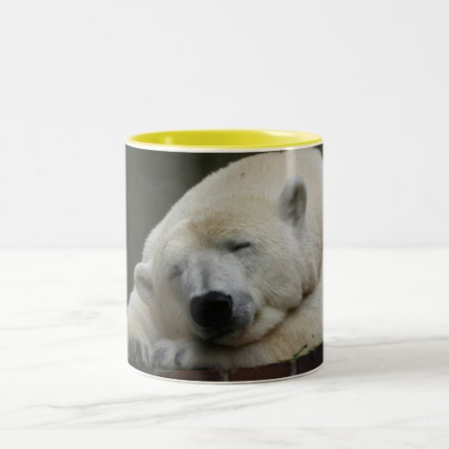 Polar_Bear_01 Two_Tone Coffee Mug