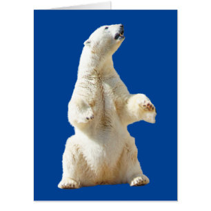 POLAR BEAR 18X24 JUMBO HUGE HUG  GREETING CARD