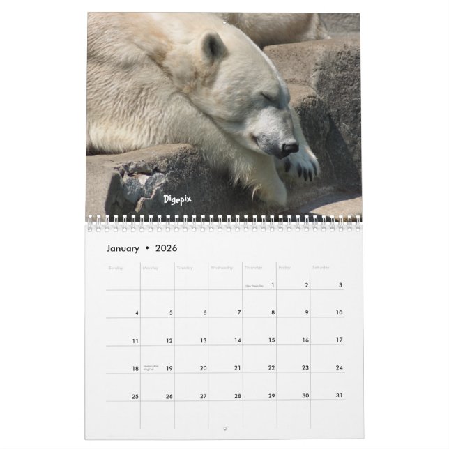 Polar Bear 2012 Calendar (Jan 2026)