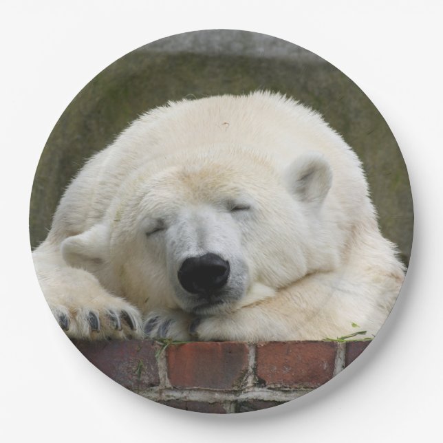 Polar_Bear_2015_0301 Paper Plates (Front)